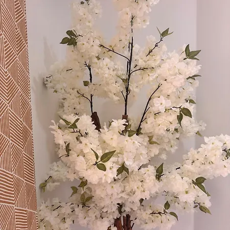 Apartment Playa Del Cura View *